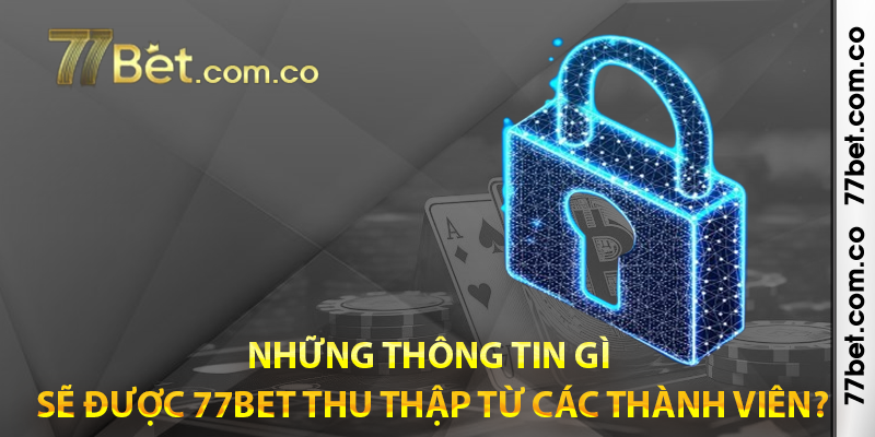 Những thông tin gì sẽ được 77bet thu thập từ các thành viên?