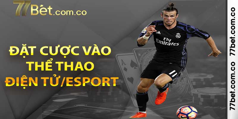 Đặt cược vào thể thao điện tử/Esport